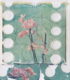 caroline-allais-orchidee