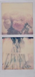 polaroid-fleur.10