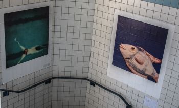 polaroid-is-not-dead.-rennes.11
