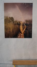 polaroid-is-not-dead.-rennes.15