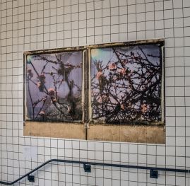 polaroid-is-not-dead.-rennes.25