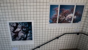 polaroid-is-not-dead.-rennes.26