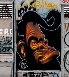 street-art.rennes.37