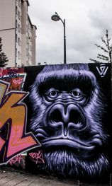street-art.rennes.39
