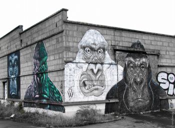 street-art.rennes.41