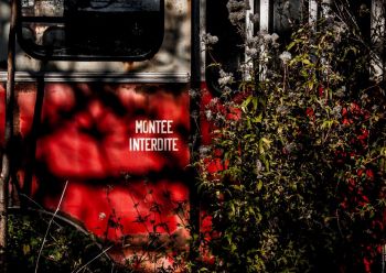 urbex-voiture-delaissee.01